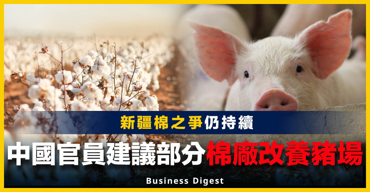 中國官員建議部分棉廠改養豬場